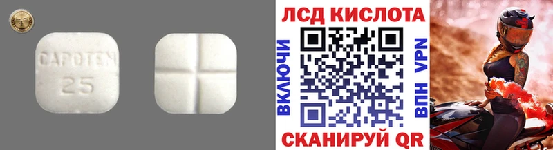 купить наркотики сайты  Пудож  Лсд 25 экстази ecstasy 