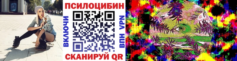 наркошоп  Пудож  Галлюциногенные грибы мухоморы 